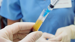 Hands holding separated blood and syringe in test tube at research laboratory